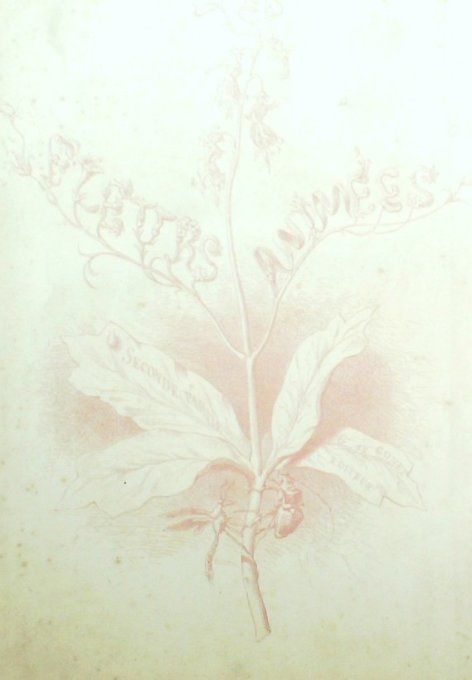 Grandville "Les Fleurs Animées" 1847