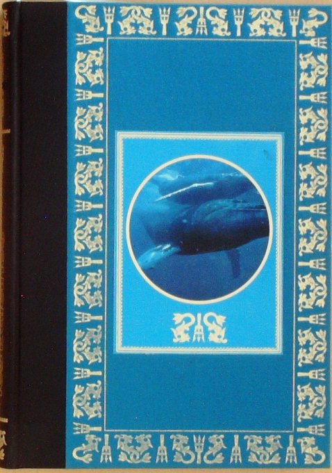 COUSTEAU-NOS AMIES les BALEINES-DIOLE (Edit Flammarion) 1976