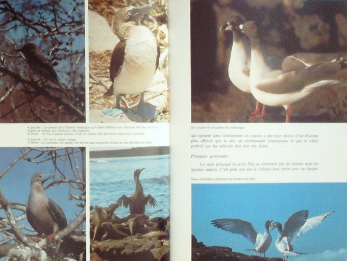 COUSTEAU-TROIS AVENTURES de la CALYPSO-DIOLE (Edit Flammarion) 1976